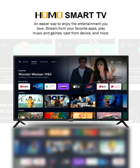HOMO HD ATV LED SMART TV 24inch (HM- S24T1 (IS-DB-T))